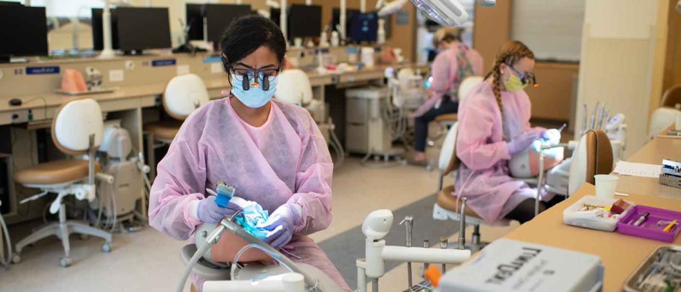 U N E dental students wearing scrubs perform oral exams on patient simulators